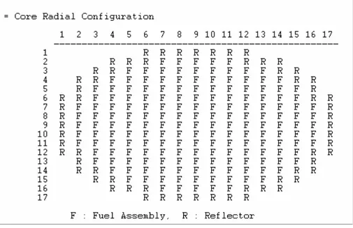 Figure 4.5  –  PARCS output of radial core representation 