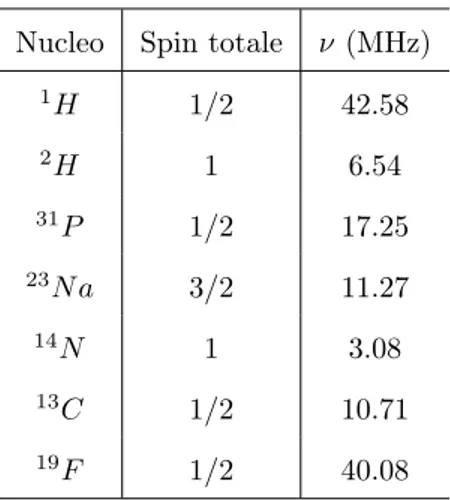Tabella 1.1: Frequenze di risonanza di alcuni nuclei per B 0 = 1T