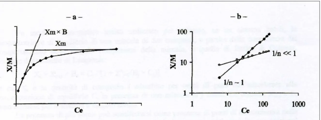 Figura 58: Isoterme di: a – Langmuir; b – Freundlich linearizzata    
