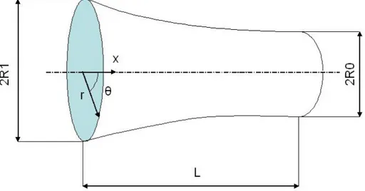 Fig. III.2  Tubo deformato assialsimmetricamente in x=0 