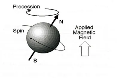 Fig. 1.1 – Movimento di precessione del nucleo atomico 