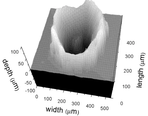 Figura 2.6. Esempio di immagine tridimensionale di un cratere ottenuta con la VCM; ad ogni livello di grigio 