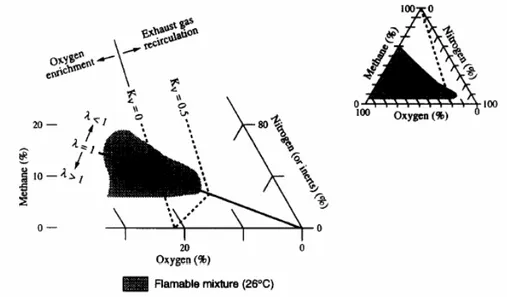 Figura 1.1 – Limiti di infiammabilità per miscele metano-aria (Zabetakis, 1965). 
