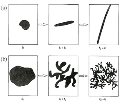 Figura 2.1 - Deformazione di un elemento di fluido soggetto a scale di turbolenza (a) maggiori e (b) minori            rispetto alla dimensione caratteristica dell’elemento considerato