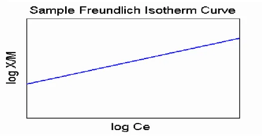 Figura 29 - Curva di Freundlich.