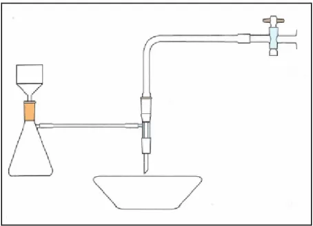 Fig. 3.2. schema dell’apparato utilizzato per la filtrazione sottovuoto. 
