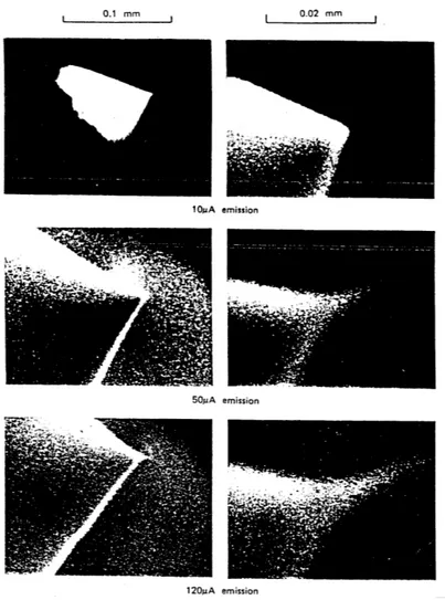 Figura 3.1: Formazione di un cono di Taylor osservata al microscopio elettronico