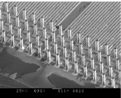 Figura 2.16: fotografia al SEM di un array di aghi di nickel alti 150 µm e con diametro di 20 µm 