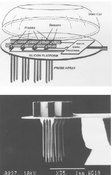 Figura 2.19 : schema e fotografia al SEM di un array  tridimensionale di microelettrodi 