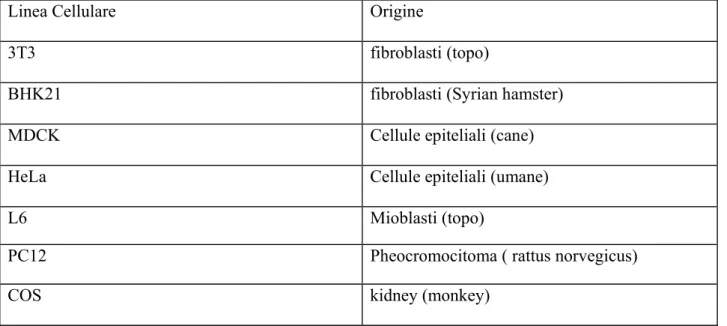 Tab. 3.3 : Linee cellulari maggiormente utilizzate 