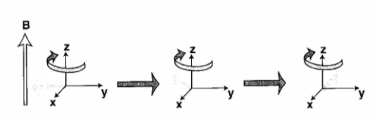 figura 2.8: precessione del vettore magnetizzazione intorno al campo esterno B. 