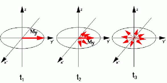 figura 2.10: variazione nel tempo delle componenti della magnetizzazione nel piano xy