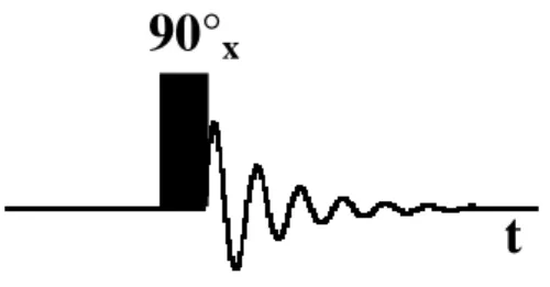figura 2.13: rappresentazione di un esperimento NMR di base. 