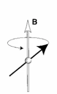 figura 2.1: precessione del momento magnetico di spin intorno al campo magnetico applicato  B 