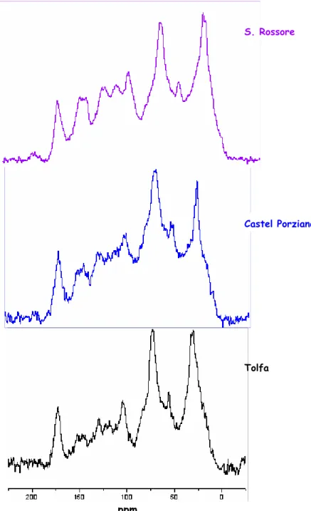figura 4.1: spettri  13 C CPMAS dell’orizzonte 1 dei tre suoli.