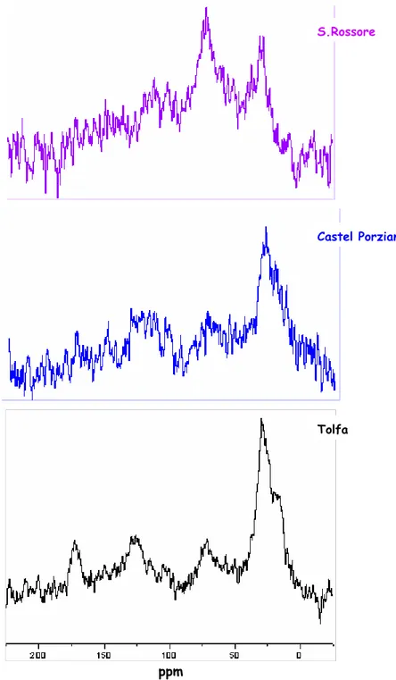 figura 4.2: spettri  13 C CPMAS dell’orizzonte 2 dei tre suoli.