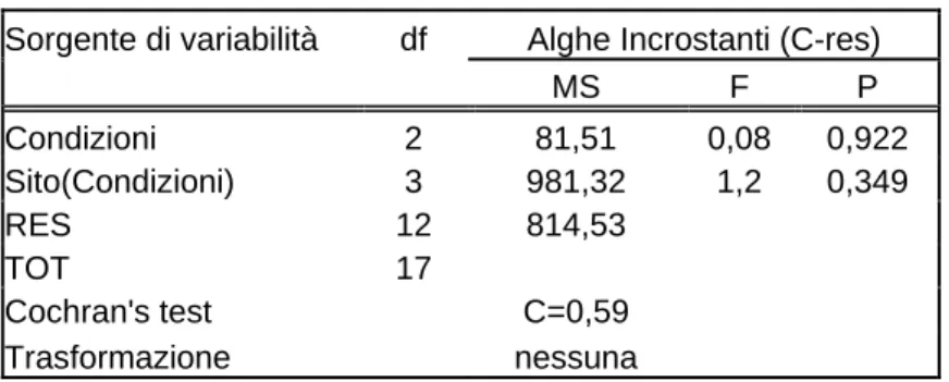 Tabella 6: Analisi della varianza condotta sul ricoprimento percentuale delle alghe incrostanti