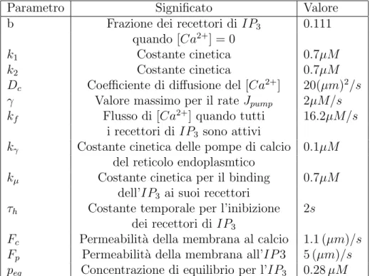 Tabella 1.1: Tabella dei parametri usati per il modello di astrocita.