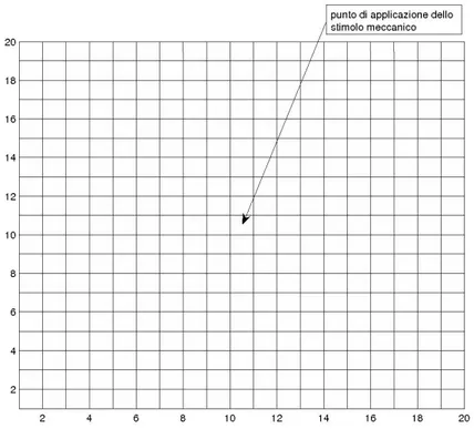 Figura 1.7: Schema della matrice di astrociti utilizzata per la simulazione. Ogni quadrato rappresenta un astrocita; ogni astrocita ` e stato suddiviso in una matrice quadrata di 5X5 punti.