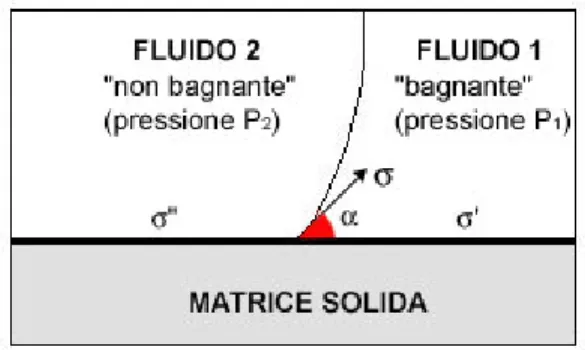 Figura 9 - Contatto di due fluidi sulla matrice solida 