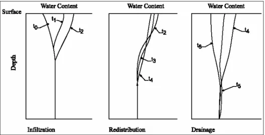 Figura 4 – Profili del contenuto d’acqua durante infiltrazione, ridistribuzione e  drenaggio (percolazione profonda) 