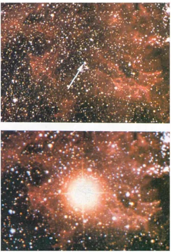 Figura 1.1: Supernova comparsa nella galassia NGC 4725 tra il 1940 ed il 1941.  