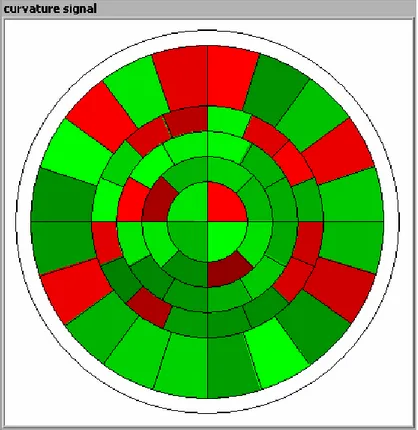 Figura 4.5: Immagine ipotetica di visualizzazione del diagramma di curvatura. I  colori rosso e verde indicano se il segnale di cuvatura C=A-B/A+B è maggiore o  minore di zero