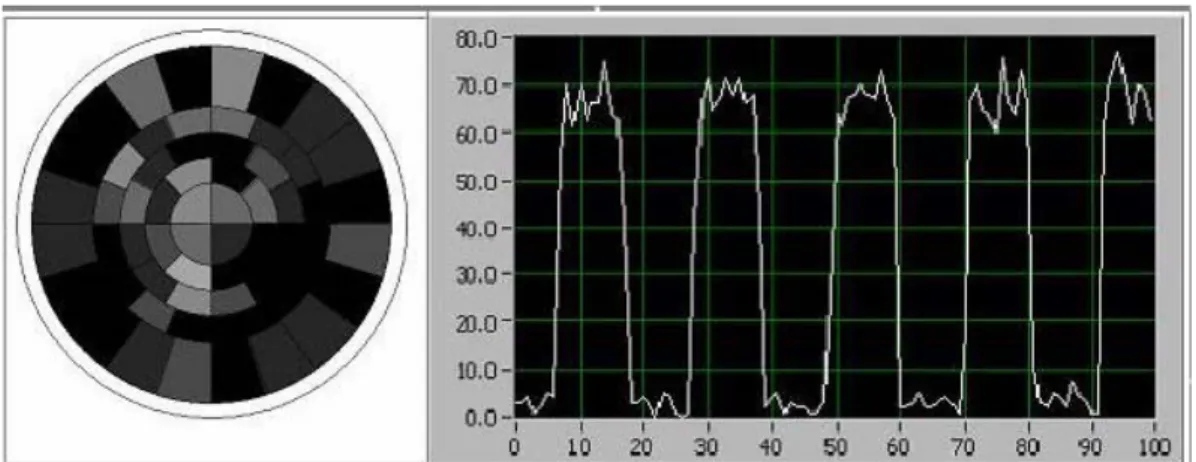 Figura 5.5: Immagine SPADA e andamento nel tempo del segnale illuminante  tutta la matrice di sensori con forma ad onda quadra 
