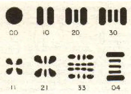 Fig. 3.5 Distribuzioni spaziali dei modi trasversi in simmetria rettangolare [21] 