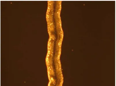 Fig. 4.17 Oscillazione rilevata in una traccia (f=200mm, P in =5W,v=50mm/s, WF=300) 