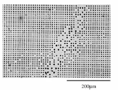 Fig. 1.7  _ Visione dall’alto del campione al SEM: zone non attaccate, dovute alle bolle 