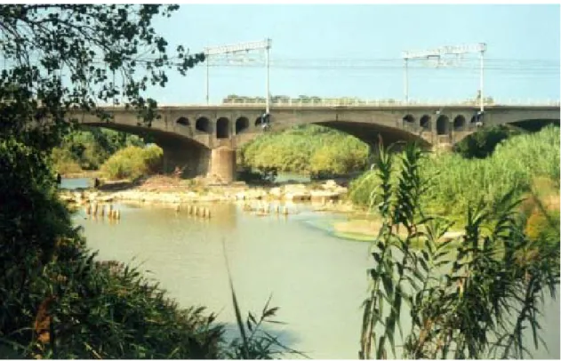 Figura 4: Il fiume Cecina e il ponte ferroviario.