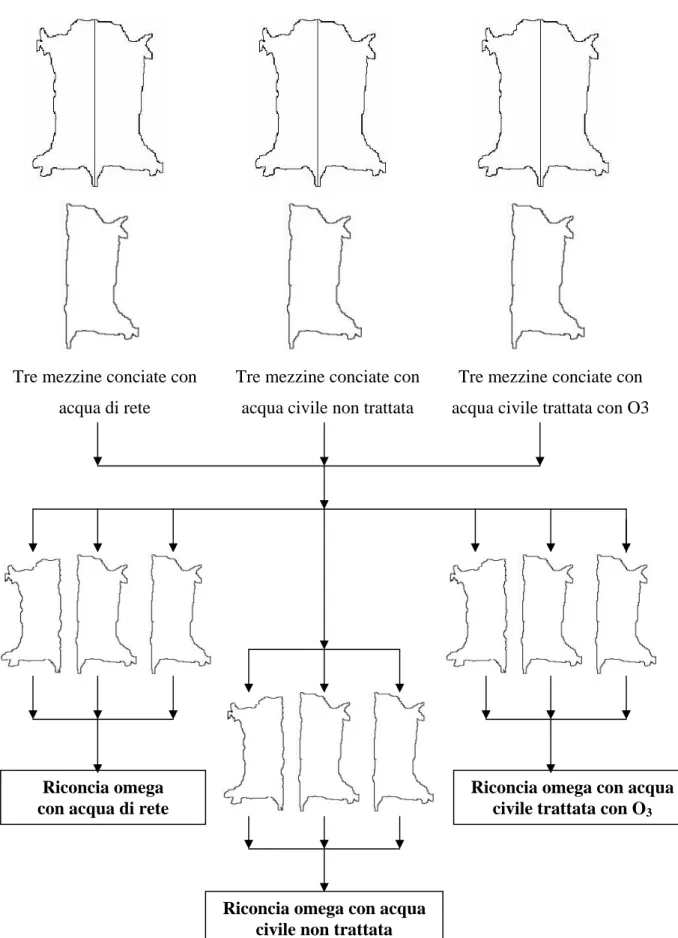 Figura 7-6: : schema della prova di concia con acque diverse seguita da riconcia omega (vegetalizzato) Riconcia omega 