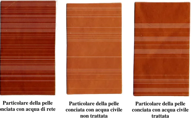 Figura 7-2: confronto fra un particolare delle tre pelli conciate con acque diverse e tinte con acqua di  rete secondo la ricetta di tintura