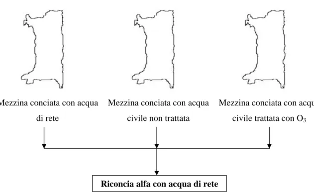 Figura 7-3: schema della prova di concia con acque diverse seguita da riconcia alfa ( vegetalizzato) 