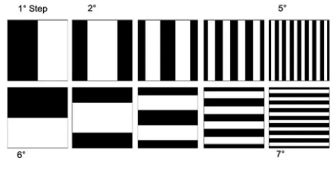 Figura 2.10   Sequenze di patterns di luce strutturata, i cui steps sono caratterizzati   da un dimezzamento progressivo della lunghezza d’onda