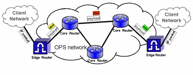 Figura 1-1: Architettura di riferimento per una rete OPS 