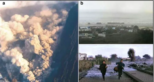 Figura 3: Frana del 30 dicembre (a) e onda di tsunami (b) (foto: INGV). 