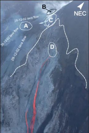 Figura 4: FASE 2 (Gennaio2003). Bocca eruttiva  D  a  quota  500m  s.l.m.  nella  scarpata  lasciata  dalla  frana  del  30  Dicembre