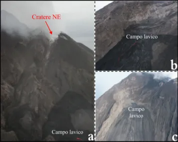 Figura  5:  a)  Marzo  2003  (FASE  3)  vista  del  cratere  NE  e  delle  bocche  eruttive  (nell’angolo  in  basso  a  destra)