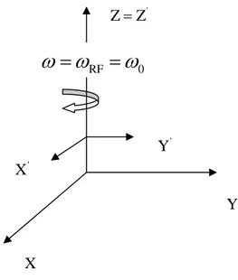 Fig. 1.5 – Sistema di riferimento fisso e rotante in condizioni di risonanza 