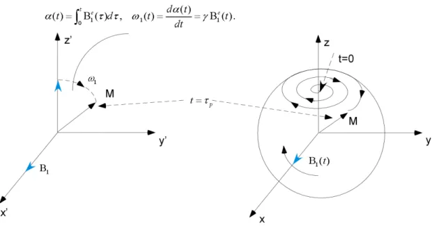 Fig. 1.6 – Andamento temporale della funzione di magnetizzazione durante la fase di eccitazione 