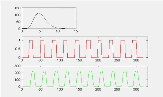 Figura 5.2 : in nero  la risposta emodinamica HRF; in