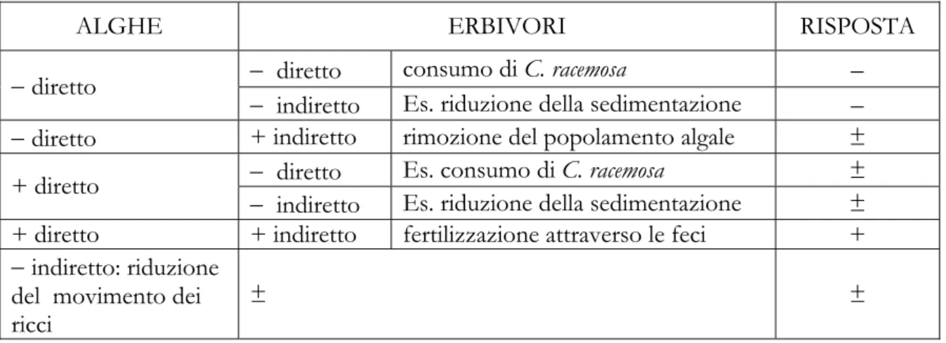 Tab. 1.1 Risposta di C. racemosa prevista rispetto agli effetti diretti ed indiretti degli erbivori e del popolamento 