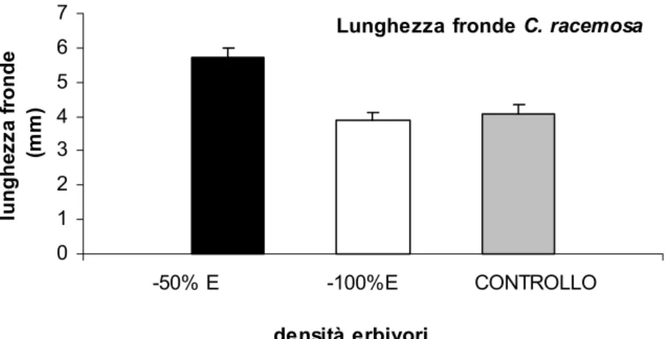 Fig. 3.14 Effetto dell’intensità della rimozione degli erbivori sulla lunghezza media delle fronde di C