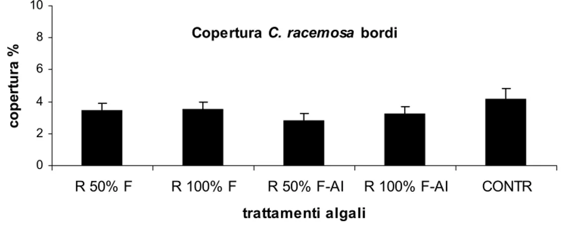 Fig. 3.4 Effetto del trattamento algale sulla copertura percentuale di C. racemosa in prossimità dei quadrati (+ ES, 78&lt;n&lt;84)  