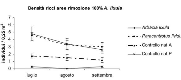 Fig. 3.8 Andamento temporale della densità dei ricci (Arbacia lixula e Paracentrotus lividus) nelle aree di rimozione del 100% di 