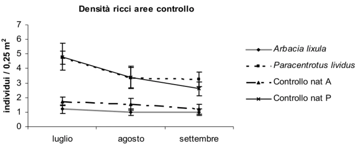 Fig. 3.11 Andamento temporale della densità dei ricci (Arbacia lixula e Paracentrotus lividus) nelle aree di controllo e nelle aree 