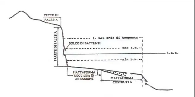 Figura 4 Falesia in senso stretto  (Cfr CORTEMIGLIA G. C., Proposta di inquadramento morfodescrittivo 