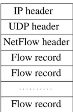 Figura 2.2: Formato del NetFlow Export Datagram